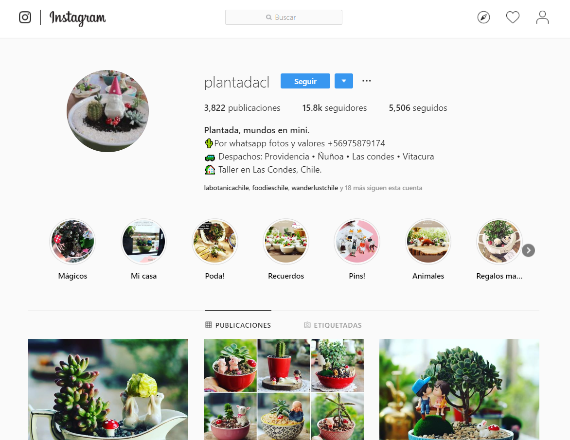 Instagram Plantada