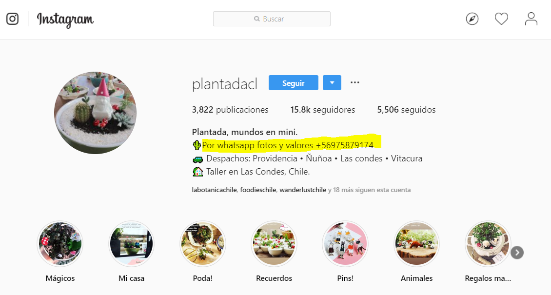 Forma de entrega Plantada