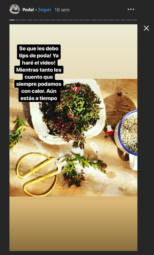 Cuidados Plantada